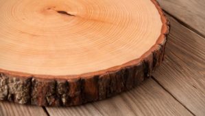 0e06658a80df0dc4bc815462b5cbcdaf9bdf6e4e