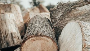 1b346619d223404dd086b6dfc54785af2d797f9a